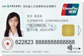 50069694_202286a6-93dd-4c89-978d-e59b4cc66026copy.png