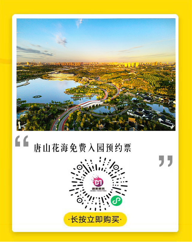 50110353_ae2a67ee-c26f-410d-9b80-dd22e784dcf6copy.jpg