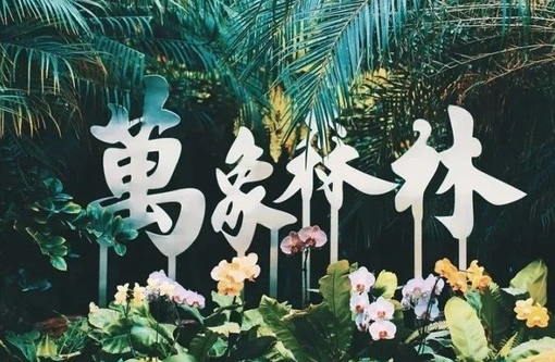 215532mxvw8f6k6k6r06wf.png