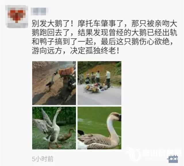 be1c40a73474b0d474eaa81d480e32f7.jpg