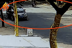 87f7ab24e828f1be6a7db684b2a8c25b.gif