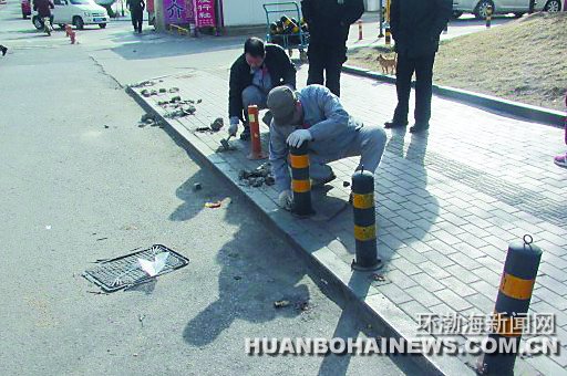 ��ɽ������������������׮130��