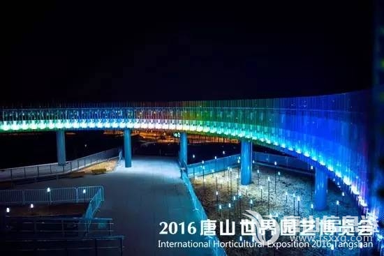 d8bdfa75c4f8ba1ab13000236efd25a4.jpg