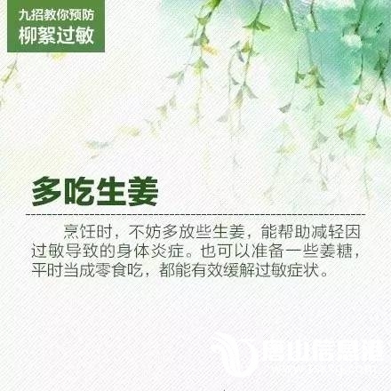 8467086b1151c16a3d8a2eccc1a9a62a.jpg