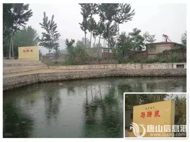 ceaf8956d515222243654dc5dac8c530.jpg