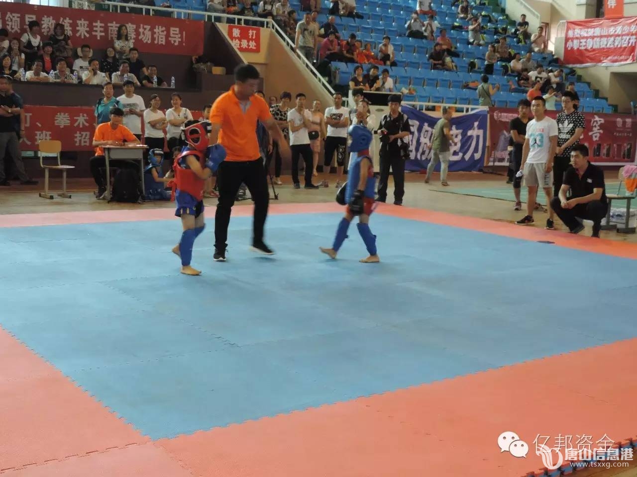 a370679f9a47a88c1e09acc7a1db5f3b.jpg