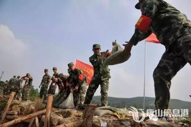 13310bf481a80265cac64ccf50a2d6e6.jpg