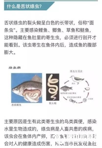 dcc3337a0924f57cc9c1281245c96688.jpg