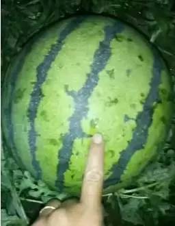 7489615d1272008091c19d8fb696717c.jpg