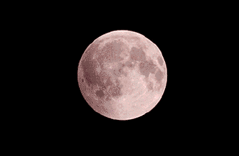 e1acdfcec39cf65c18f432f9a1568a56.gif
