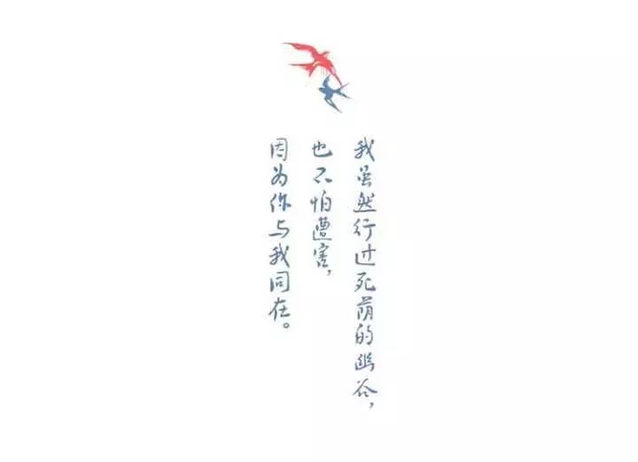 54d98074dc86966fcc5a0d305ec6bb5c.jpg