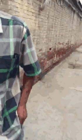 3d8f5008b959cd65786f0ea5c63fbc93.gif