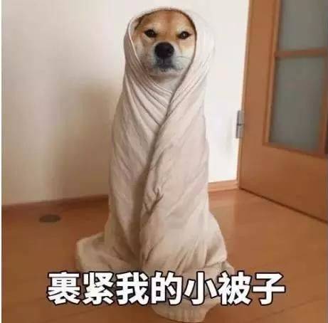 264a498fb8fe110ee01c8a62234a02ed.jpg
