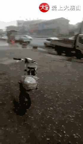 cea2f873766446cb763ba8fde301d88b.gif