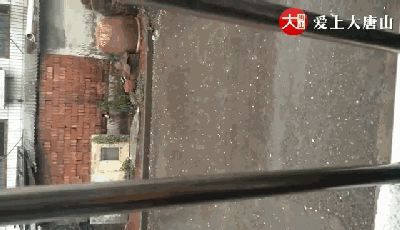 e9bb2a19c42e58d21081519e7926cba1.gif