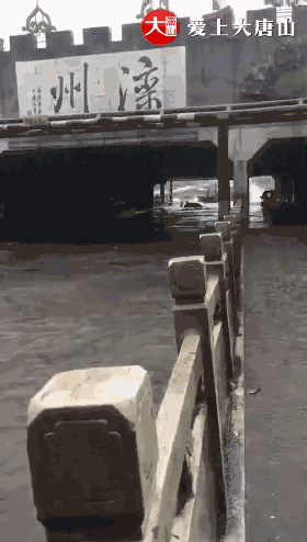 cfe822e0a0845815c5dd91a9d234d718.gif