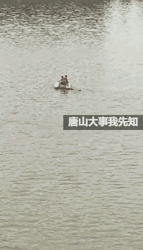 69233a6474e12b61afb757c86de2c3ce.gif