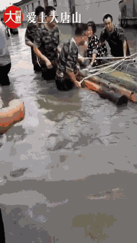 87d6e8bb54841465cb0a8208f3c91486.gif