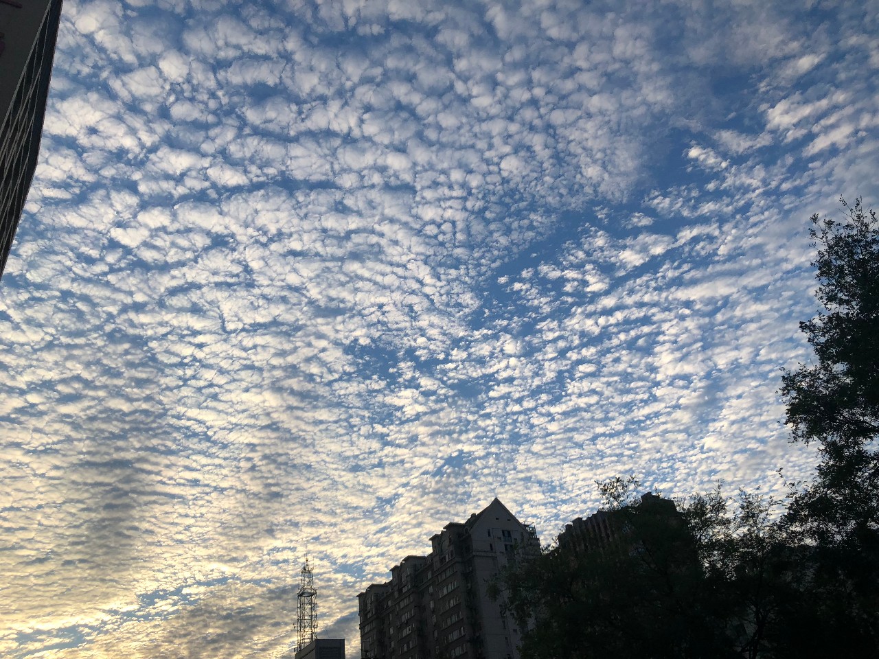 d45e443bdffe3ee530668edb04c9d095.jpg