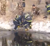 56fbe15cd63c51b5fd46d7b3f0faddf2.gif