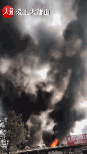 b9528c0f2b2603deeae4311e4db61519.gif