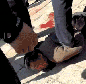 0babd825874e74f526ee7009fcf555aa.gif