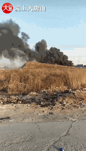 a2968e32255331d94d76ea72a9103df1.gif