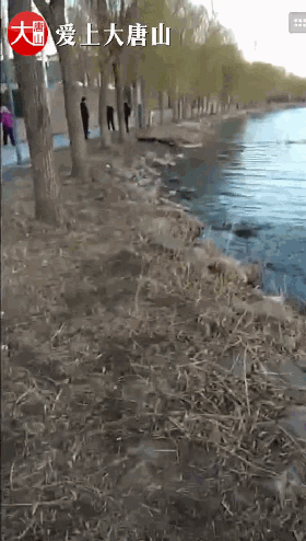 709b255f337871ec9d511247edc6e377.gif