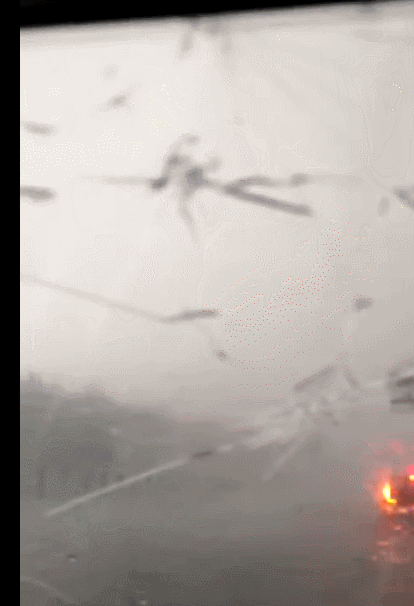 72e2d70787e01612760a4c1b9cd6e087.gif