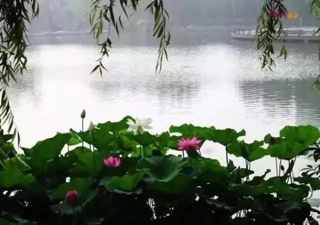 23d8730d2c74c6af0ee1a22a18455c33.jpg