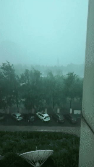 dd19a37805fe699655453a2a469e4558.gif