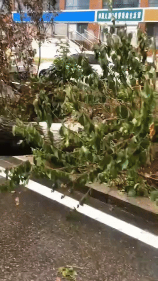 4c8cafb4588d021410dd5b3bcfefc1af.gif