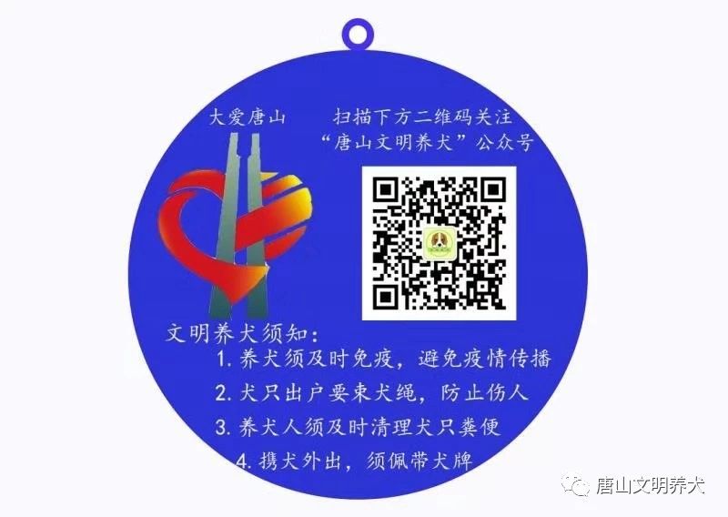 2601ecb22ad8c9f8f75f82fcc0cd871c.jpg