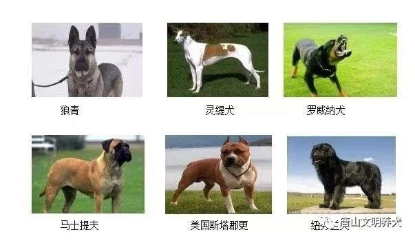 55ec8419b0db6a729ba1a567b4df7c3a.jpg