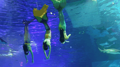 a97249ef346e7bf91efd5a9fd4c926e9.gif