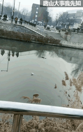 d6c3dcb6049ced63643cfbf39d46ca93.gif