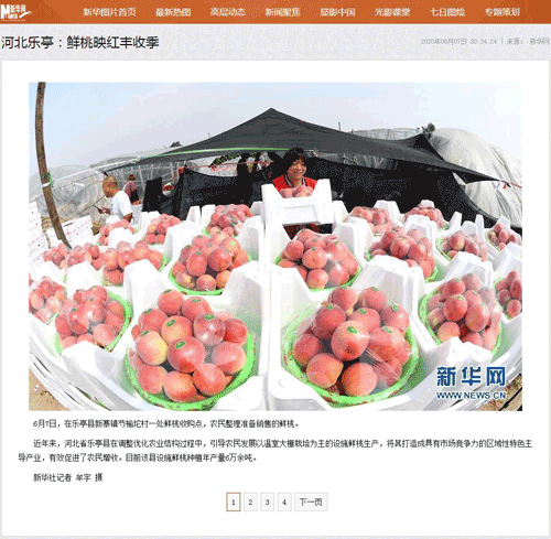 12200482_993321.gif