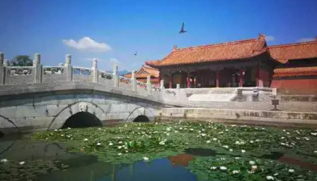 20200712014344.jpg