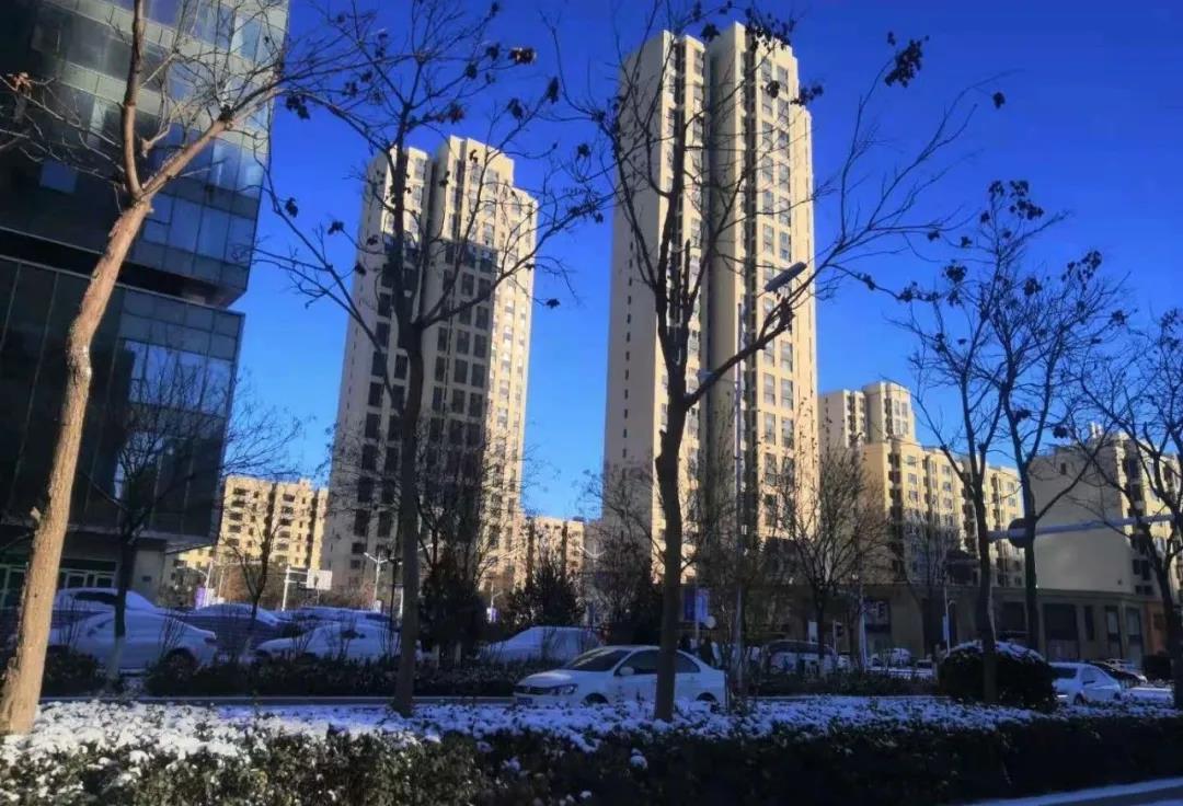 20201213194947.jpg