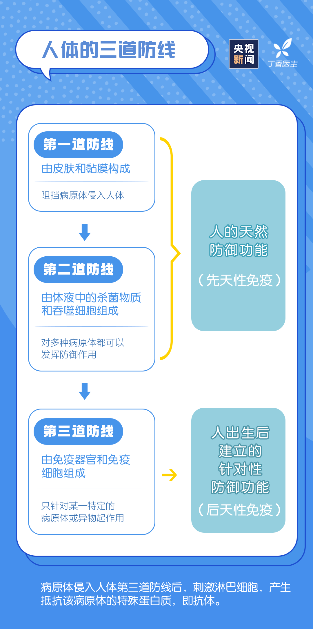 3eb6b233e5a295b7b8b2a0c2d28c849f.png