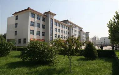 50016775_adaa07b7-f933-4c71-86d1-bc8839d1cb99copy.jpg