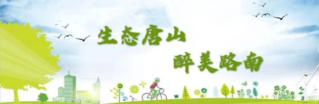 01da48cab824b2460df4651af3d320bc.jpg