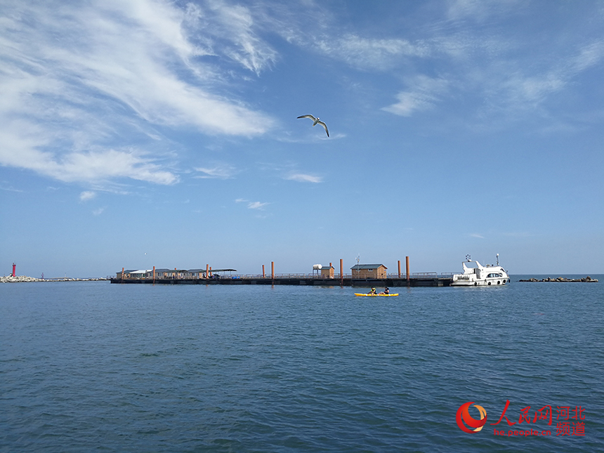 50060109_fc02ec99-a89f-4892-b57a-84c6c091be36copy.jpg