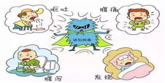 50391043_7e6026b0-738f-4350-a2a9-c5a332a8b781copy.png