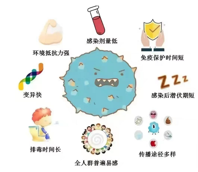 50391043_81a8b6e4-1082-42d2-ac11-170c0edce9c5copy.png