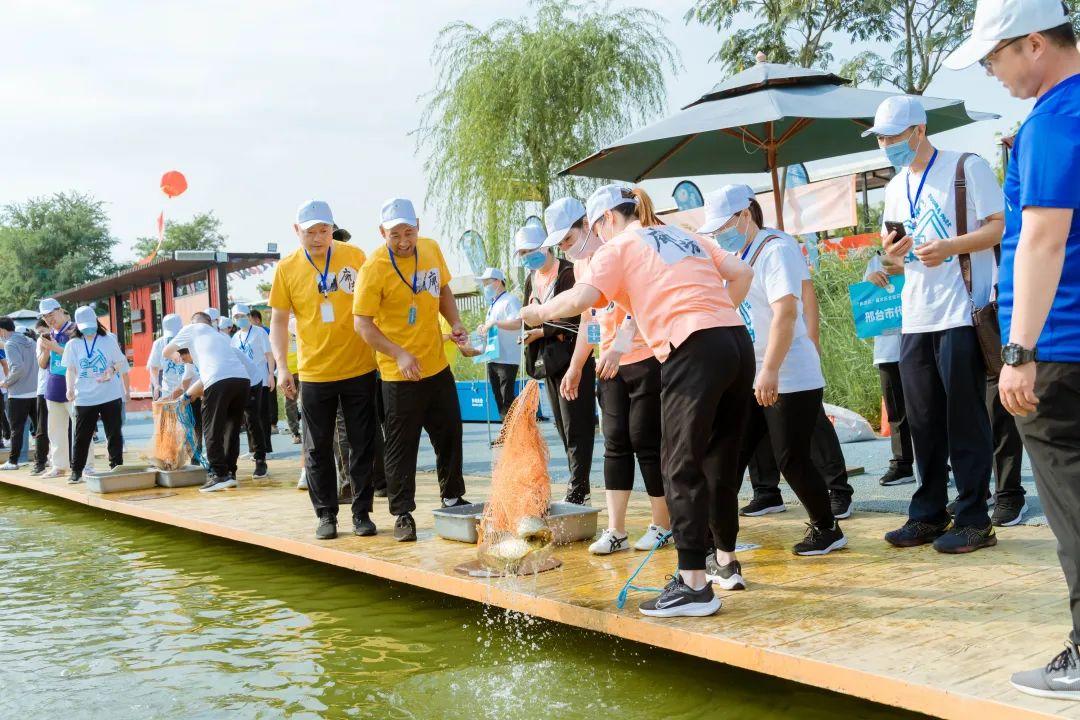 50441906_7fa5d008-6113-46fa-9069-d00b8f185410copy.jpg